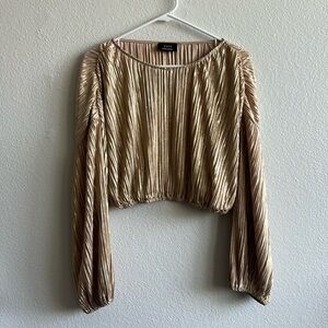 💜NWOT💜 Vici Collection Shimmery Cropped Blouse